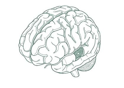 Line illustration of a brain with an embedded processor chip